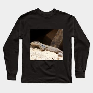 Gallotia Galloti (Male Tenerife Lizard) Long Sleeve T-Shirt